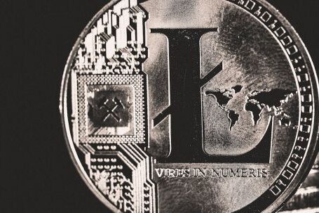 Litecoin - Black and White Photo of a Coin