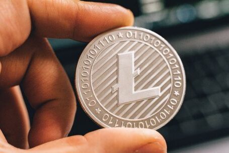 Litecoin - A Person Holding a Silver Coin